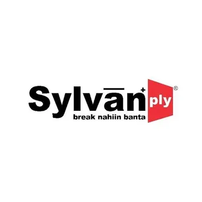 Sylvan Plyboard IPO price band fixed at ₹55 per share: Check key factors ahead of June 24 launch